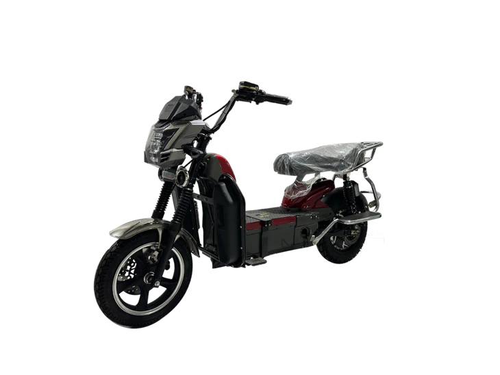 Classic Model Heavy Duty Cargo Electric-Bike